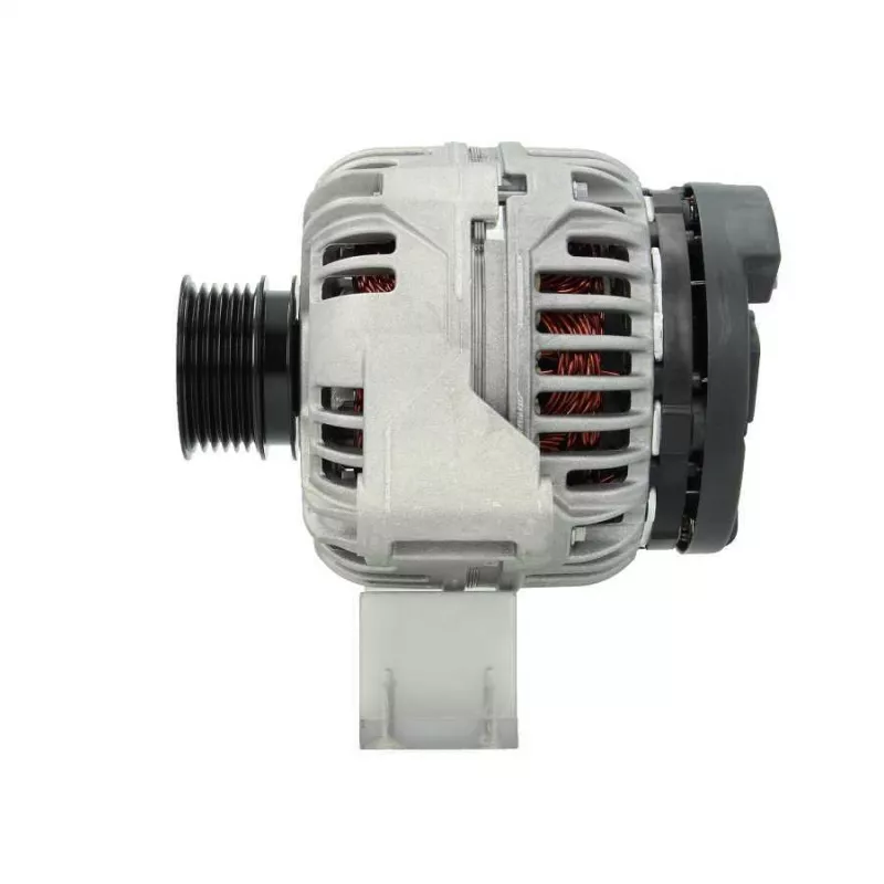 Alternateur BV PSH 555.544.120.210 - Visuel 1