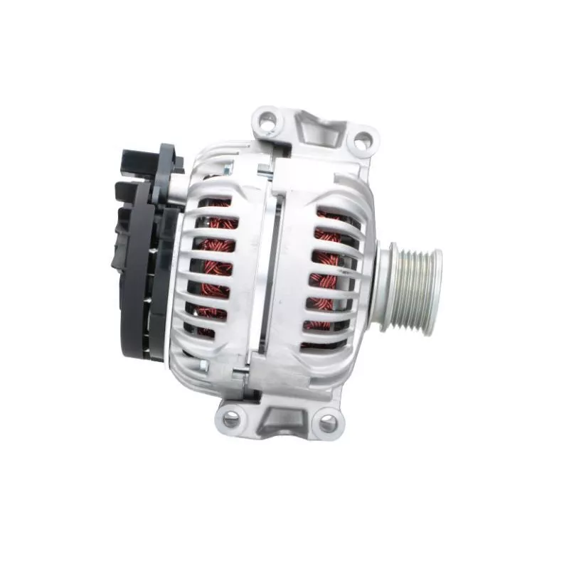 Alternateur BV PSH 555.545.200.010 - Visuel 2