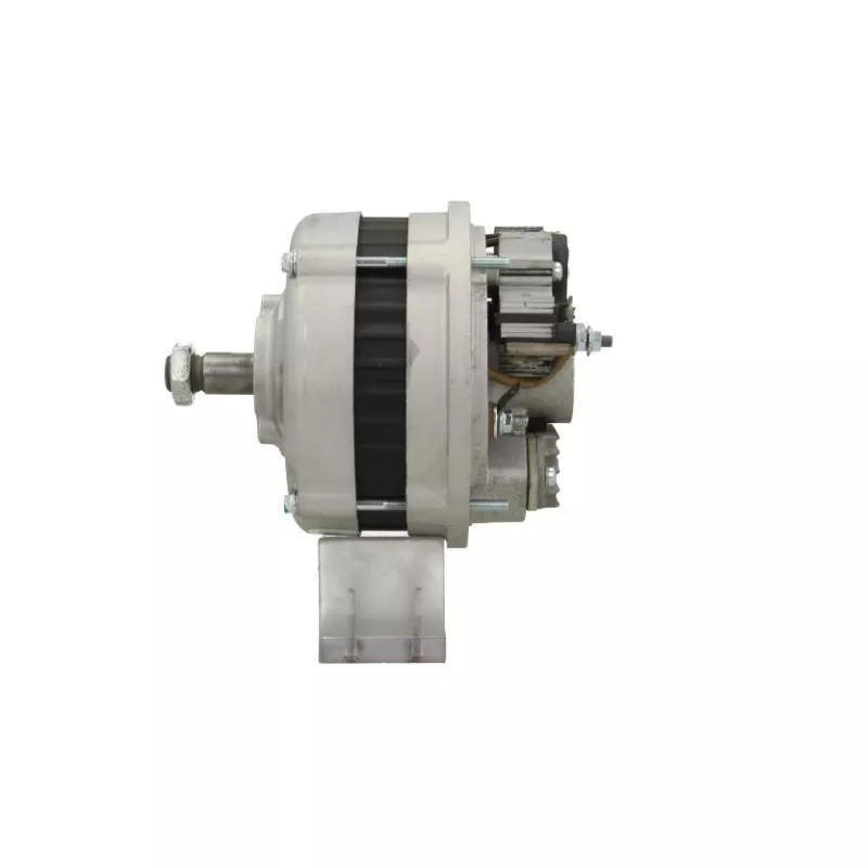 Alternateur BV PSH 565.008.060.315 - Visuel 1