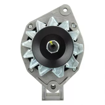 Alternateur BV PSH OEM 6006000076