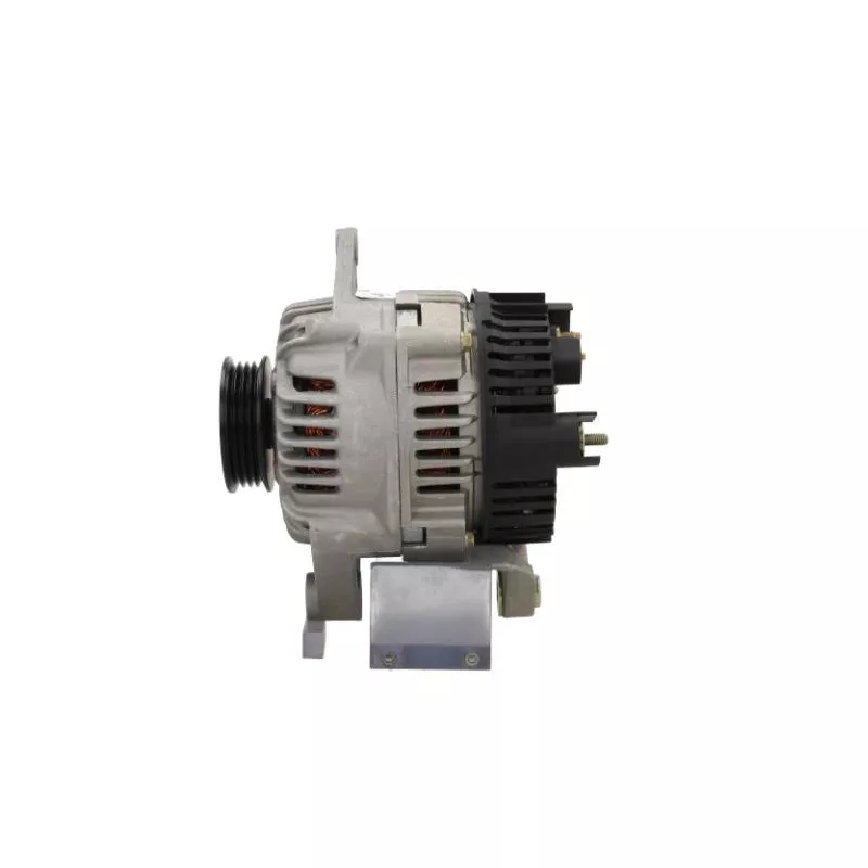 Alternateur BV PSH 575.513.075.500 - Visuel 1