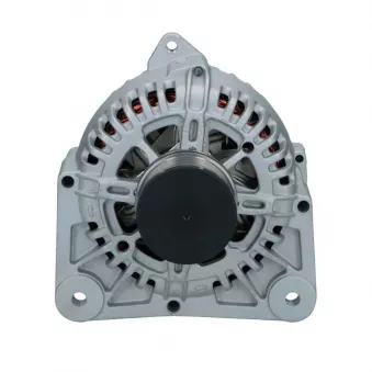 Alternateur BV PSH 575.593.110.008