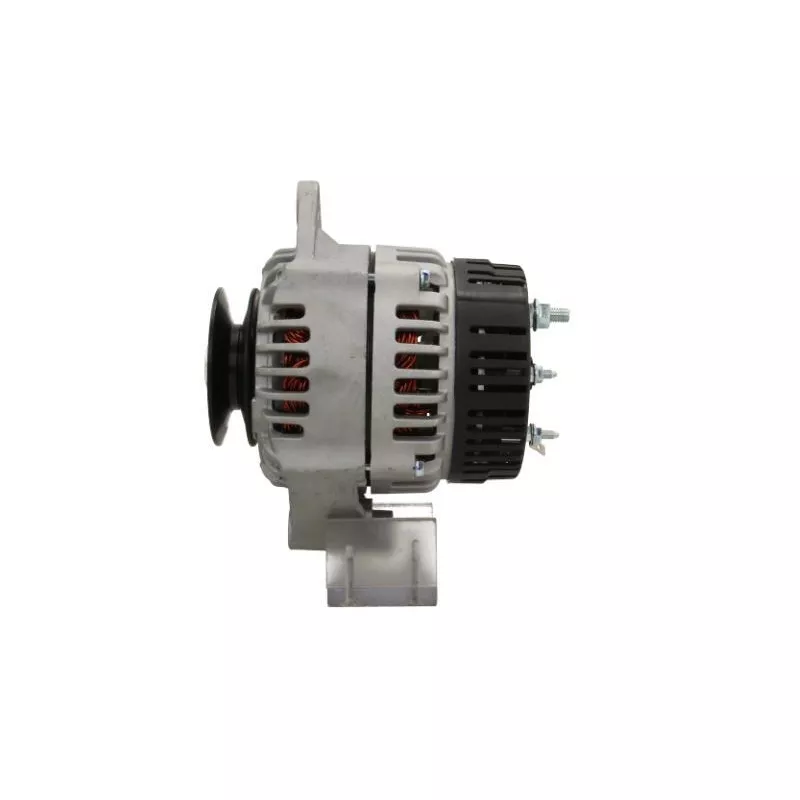 Alternateur BV PSH 615.003.095.096 - Visuel 1