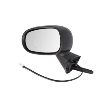 Rétroviseur extérieur BLIC OEM 7701060070
