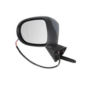 Rétroviseur extérieur BLIC OEM 7701071872