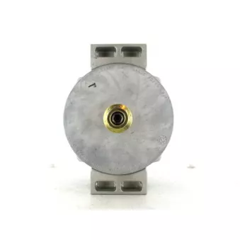 Alternateur BV PSH 645.005.145.391