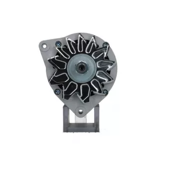 Alternateur BV PSH 705.019.080.090