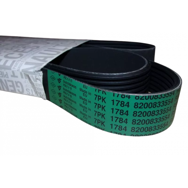 Courroie trapézoïdale à nervures OE 8200833554 - Visuel 1