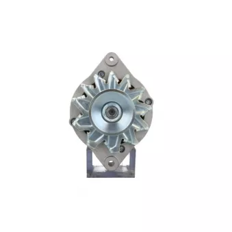 Alternateur BV PSH 706.025.055.310