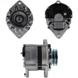 Alternateur BV PSH [715.007.065.311]