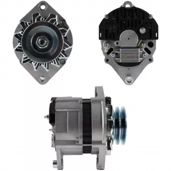 Alternateur BV PSH 715.007.065.311