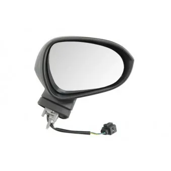 Rétroviseur extérieur BLIC OEM 6J0857522H