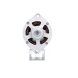Alternateur BV PSH [765.001.065.090]