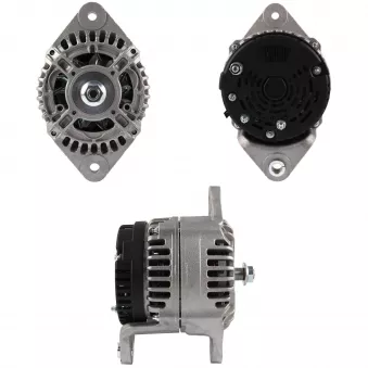 Alternateur BV PSH OEM 8156817