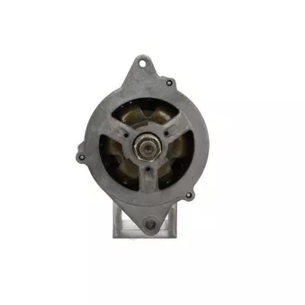 Alternateur BV PSH 835.025.074.038