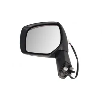 Rétroviseur extérieur BLIC 5402-17-2002395P