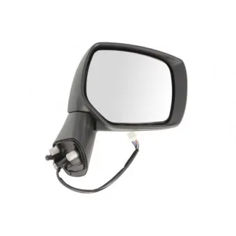 Rétroviseur extérieur BLIC 5402-17-2002396P