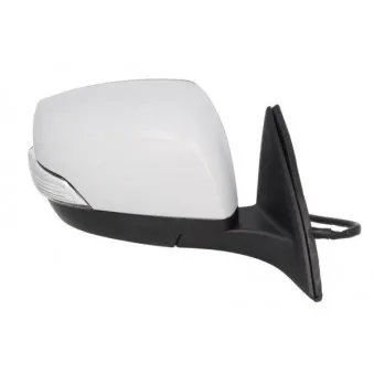 Rétroviseur extérieur BLIC 5402-17-2002398P