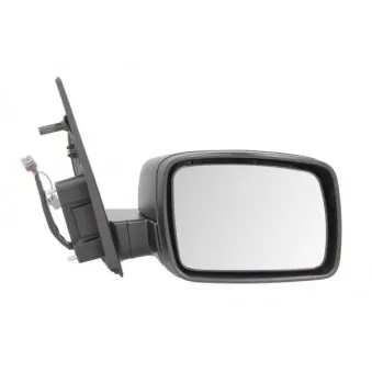 BLIC 5402-57-2001652P - Rétroviseur extérieur