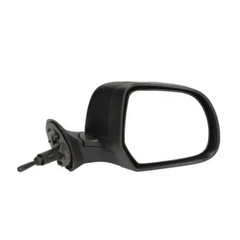Rétroviseur extérieur BLIC OEM 963015821R