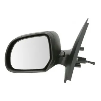 Rétroviseur extérieur BLIC OEM 963026216R
