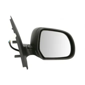 Rétroviseur extérieur BLIC OEM 963019902R