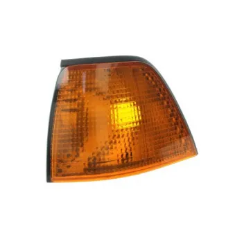 BLIC 5403-05-004101P - Feu clignotant