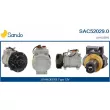 SANDO SAC52029.0 - Compresseur, climatisation
