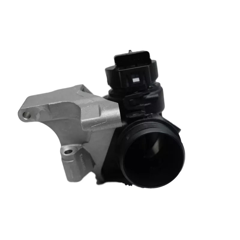 Corps papillon OE 0345E7 - Visuel 1