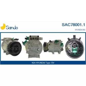 Compresseur, climatisation SANDO OEM 977012B101