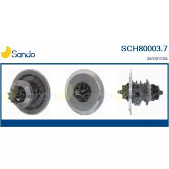 Groupe carter, turbocompresseur SANDO OEM 6610903180