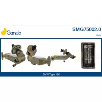 Module-EGR SANDO OEM 11717808171