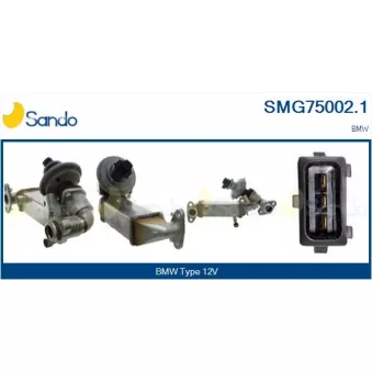 Module-EGR SANDO OEM 11717808171