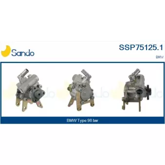 Pompe hydraulique, direction SANDO OEM 1092433