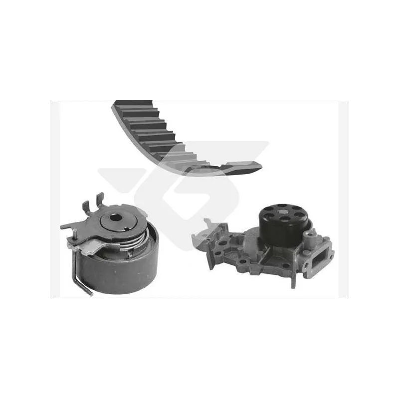 Kit de distribution + pompe à eau pour RENAULT TWINGO II 1,2 16V 75cv