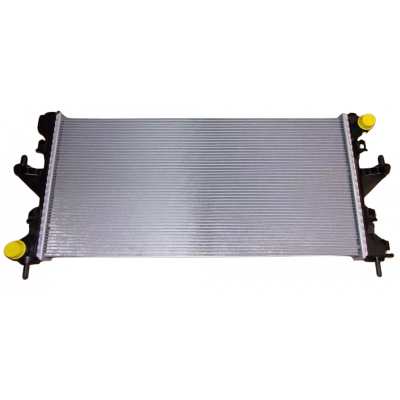 Radiateur, refroidissement du moteur OE 1606661980 - Visuel 1