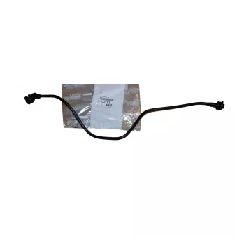 Tuyau De Radiateur OE [132383]