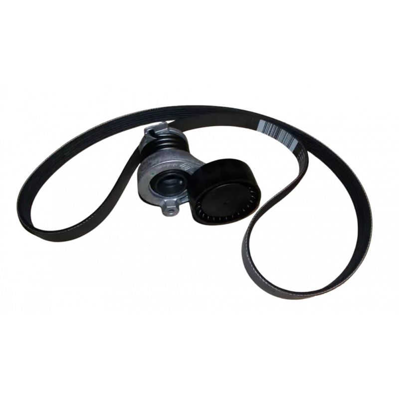 Jeu de courroies trapézoïdales OE 117206096R - Visuel 1