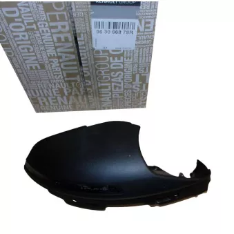 Rétroviseur extérieur OE OEM 963066878R