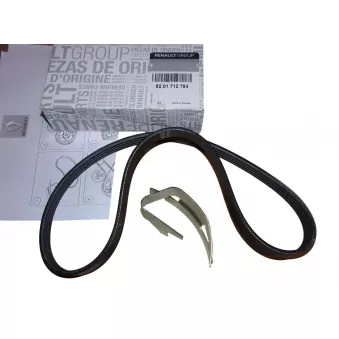 Courroie trapézoïdale à nervures OE OEM 117205934R