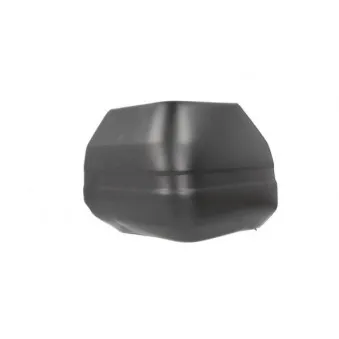 Pare-chocs BLIC OEM 55029245AB