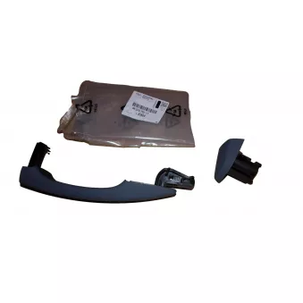 poignée de porte OE 980297821T