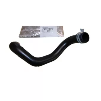 Démarreur du tuyau d'eau de refroidissement OE OEM 9671339080