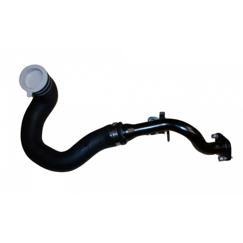 Durite de turbo OE 1635064380 - Visuel 1