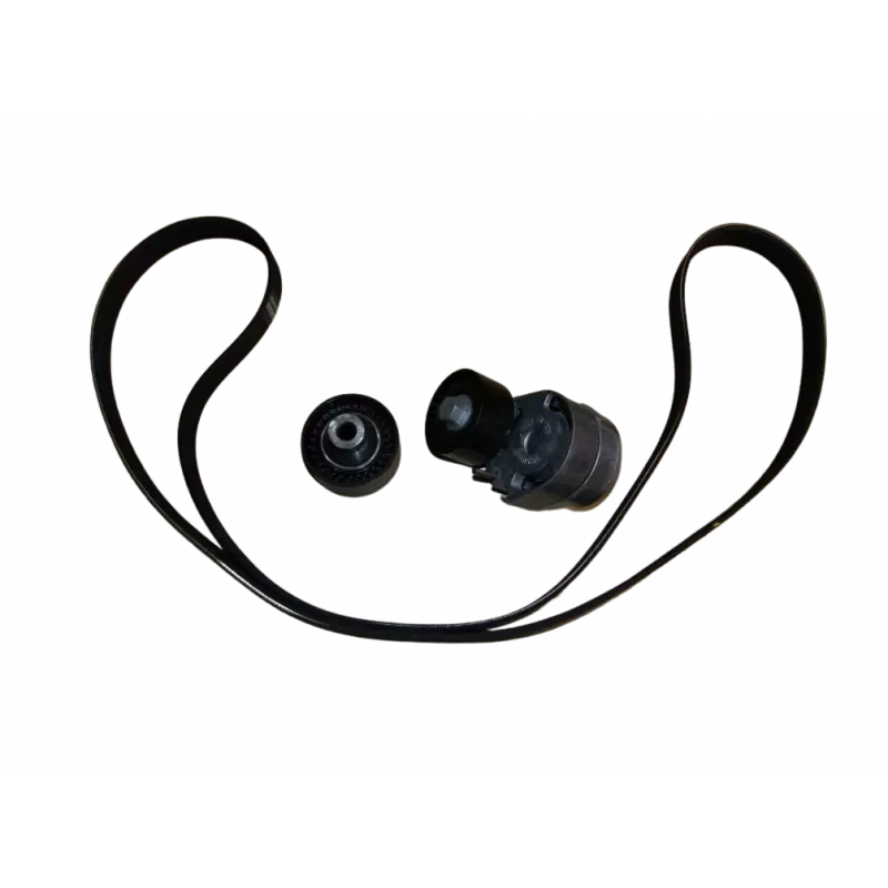 Kit de courroie d'accessoires OE 1613844480 - Visuel 2