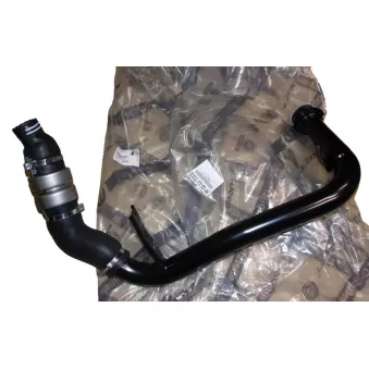 Gaine de suralimentation OE OEM 0382LY