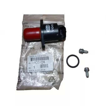 Controle de ralenti, alimentation en air OE OEM 1920Q8