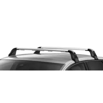 Barre de toit OE 1613426580 Barre de toit OE 1613426580