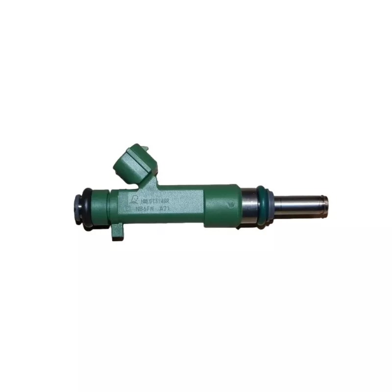 Injecteur OE 166008494R - Visuel 2