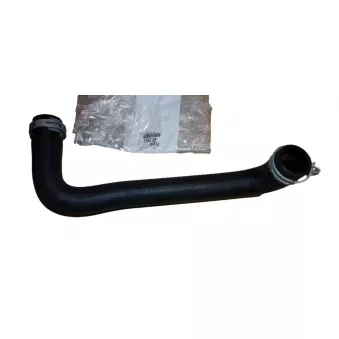 Durite de refroidissement OE OEM 135205